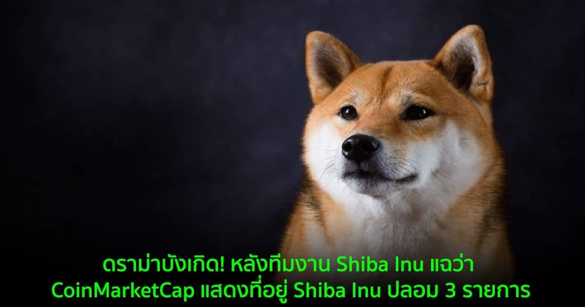 ดราม่าบังเกิด! หลังทีมงาน Shiba Inu แฉว่า CoinMarketCap แสดงที่อยู่ Shiba Inu ปลอม 3 รายการ