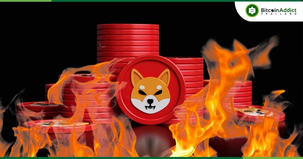 หัวหน้านักพัฒนา Shiba Inu เผยถึงการอัปเดตที่สำคัญ และอาจเกี่ยวกับการเผา SHIB