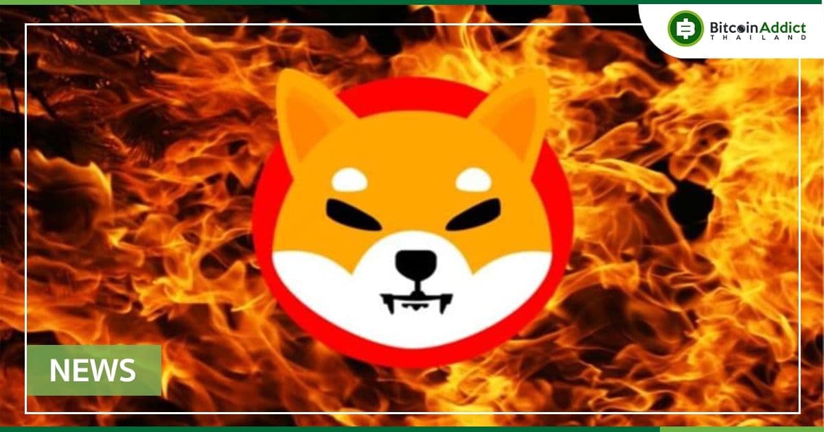Shiba Inu เปิดตัว "SHIB Burning Portal" เพื่อหวังลดโทเค็นในระบบ