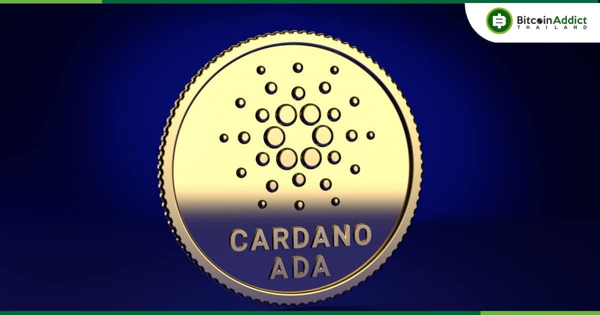 เก่งหลังเกม : เหตุใดราคา Cardano (ADA) ถึงร่วงในวันนี้ ?