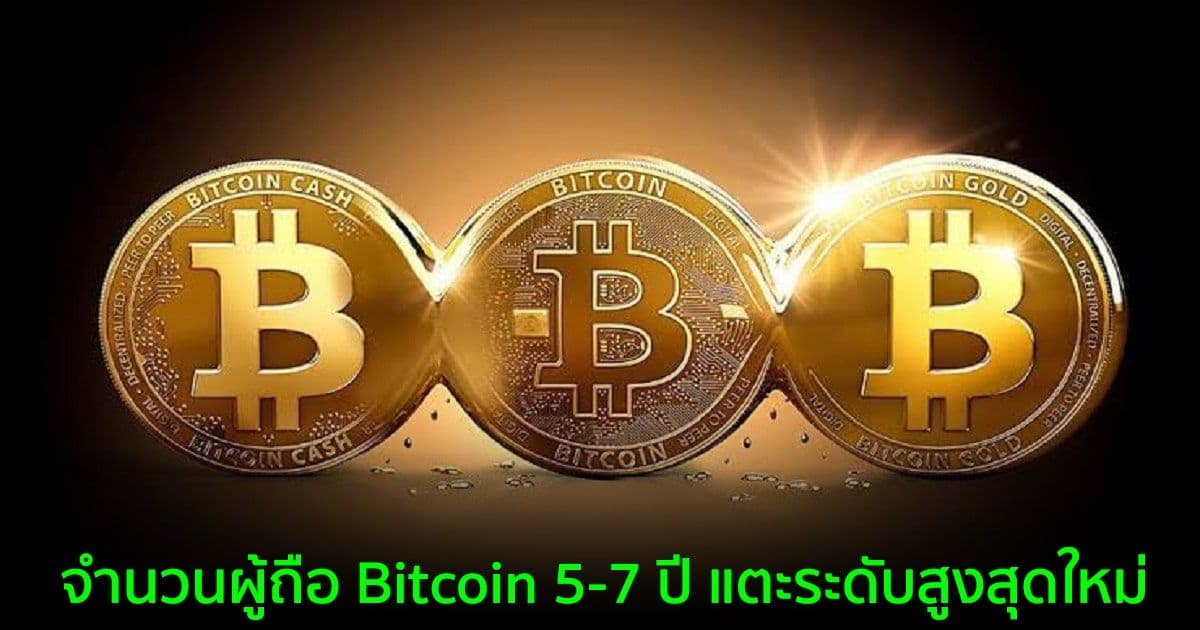 จำนวนผู้ถือ Bitcoin 5-7 ปี แตะระดับสูงสุดใหม่