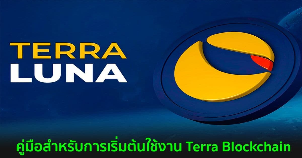 beginners guide how to use terra