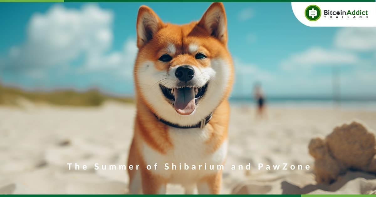 ทีมพัฒนา Shiba Inu เปิดตัวแคมเปญ 'Summer of Shibarium'