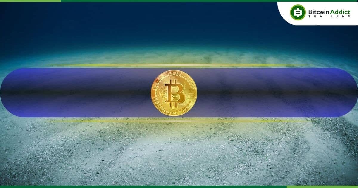 CryptoQuant เปิดเผยว่า ยังไม่เห็นสัญญาณราคาต่ำสุดของ BTC