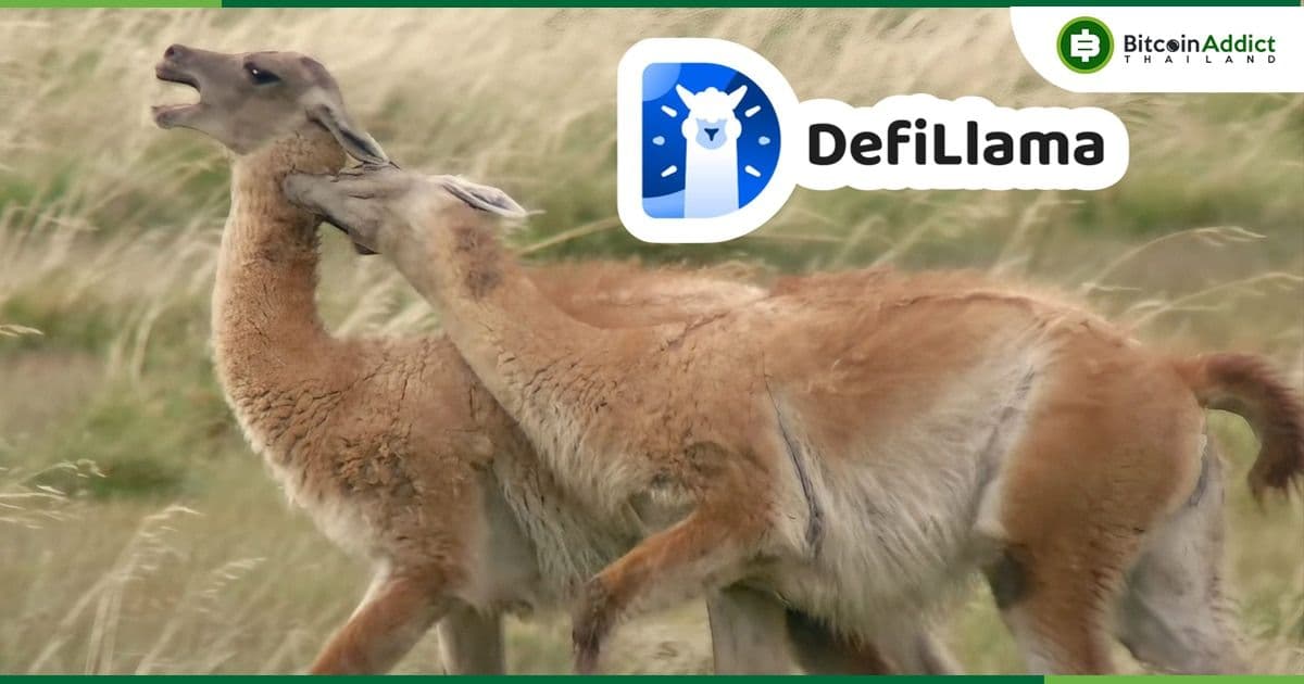 DefiLlama ยืนยัน!! ไม่มีแผนจะสร้างโทเค็น LLAMA และขอโทษที่ต้องเกิดดราม่า