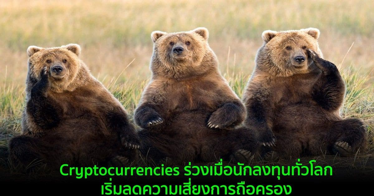 Cryptocurrencies ร่วงเมื่อนักลงทุนทั่วโลกเริ่มลดความเสี่ยงการถือครอง