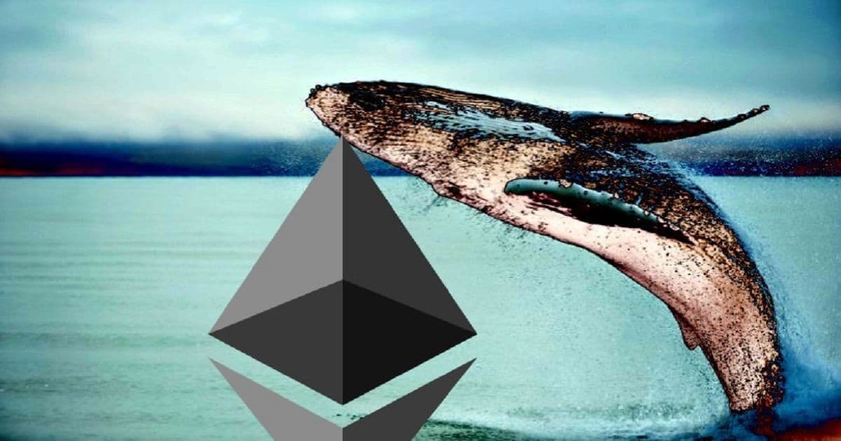 จำนวนวาฬ  Ethereum เพิ่มขึ้นในช่วงที่ราคาลดลงถึง 30%