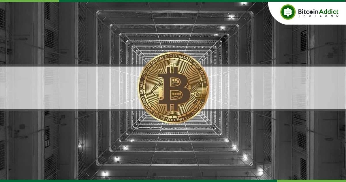 ผลวิจัยพบ! นักลงทุนสถาบันสนใจ Altcoins เพียงเล็กน้อย แต่ลงทุนใน Bitcoin มากสุด