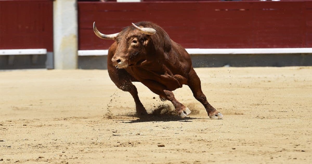 Bloomberg คาดว่าทองคำจะอยู่ที่ $3,000  BITCOIN จะอยู่ที่ $20K ในตลาด BULL RUN ล่าสุด