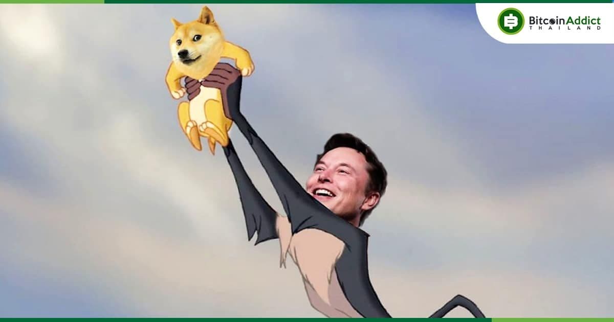 Elon Musk ย้ำถึงการสนับสนุน Dogecoin แต่ยืนยันไม่เคยบอกให้ใครลงทุนใน Crypto