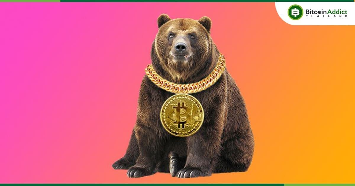 ชุมชน Crypto บน Reddit แบ่งปันเคล็ดลับในการเอาตัวรอดเพื่อก้าวผ่านตลาดหมีไปให้ได้