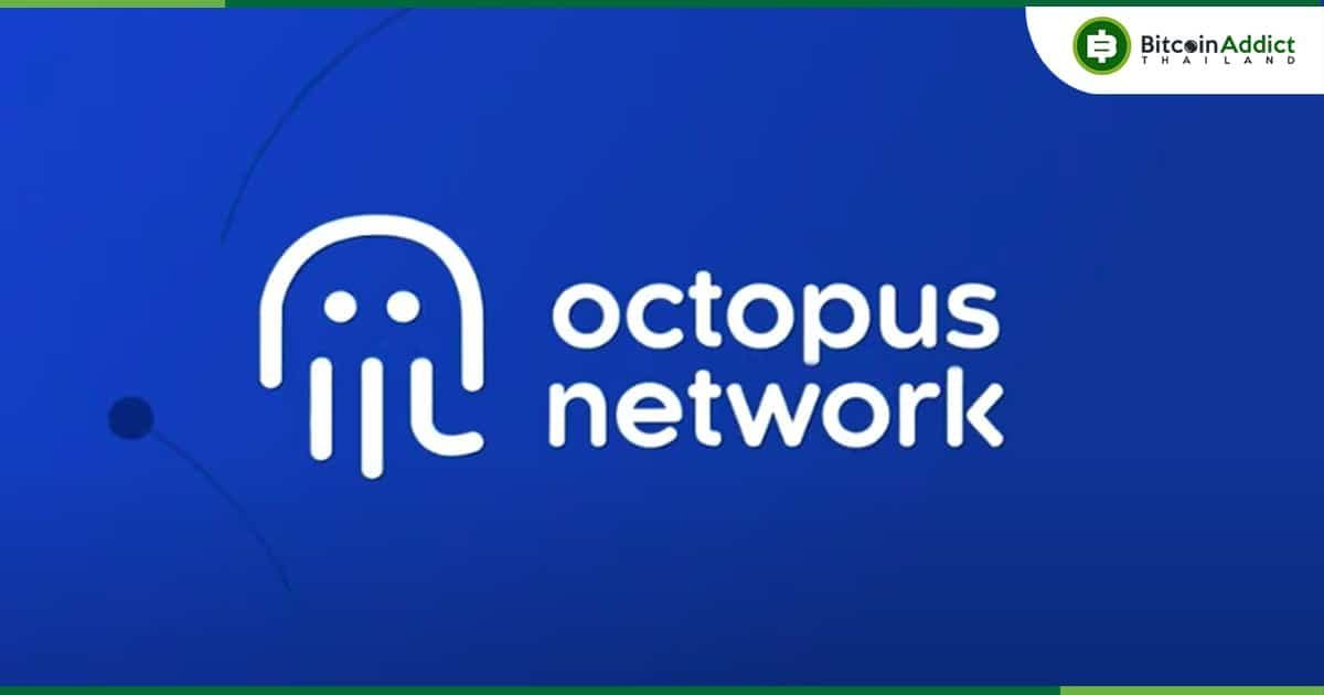 Octopus Network ของ Near Project เลิกจ้างพนักงานกว่า 40% ท่ามกลางฤดูหนาวของ Crypto