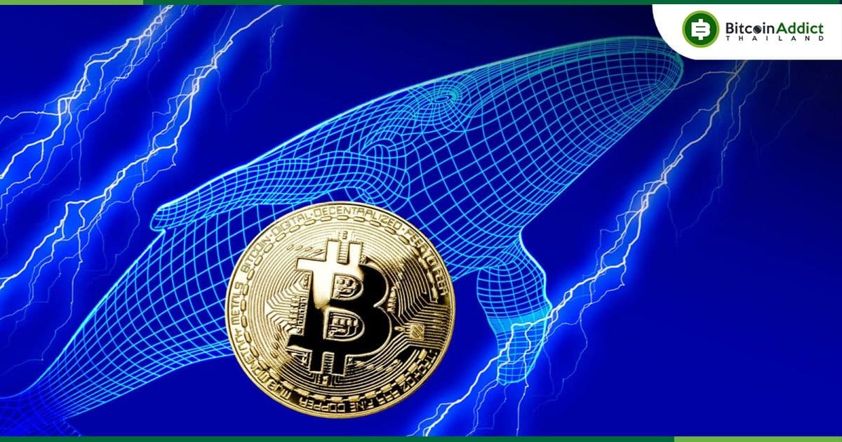 ซีอีโอ CryptoQuant แนะเคล็ดลับ!! ให้เน้นตามวาฬในเว็บเทรดอนุพันธ์ที่มีโวลลุ่มต่ำกว่า Binance