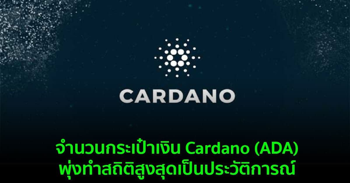 จำนวนกระเป๋าเงิน Cardano (ADA) พุ่งทำสถิติสูงสุดเป็นประวัติการณ์