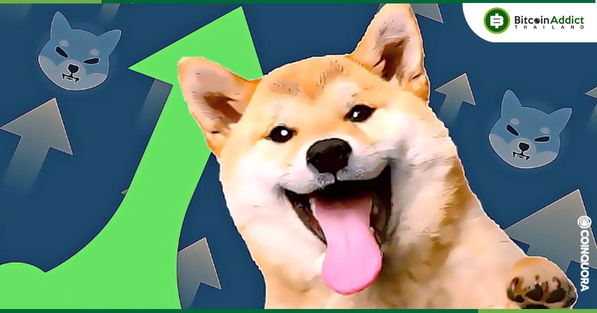 Shiba Inu เป็นสินทรัพย์ Crypto ที่ใหญ่ที่สุดสำหรับวาฬ Ethereum รองจาก USDC