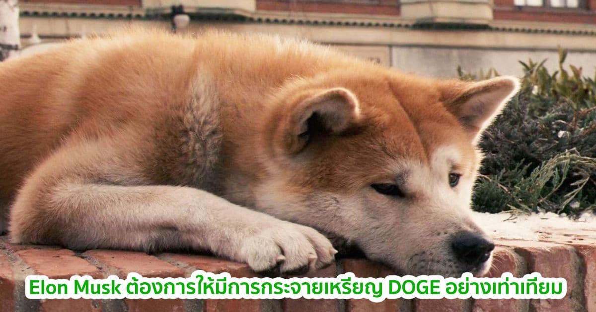 มูลค่าของ Dogecoin ( DOGE ) ลดลง 23% หลัง Elon Musk กระตุ้นให้ผู้ถือรายใหญ่ เทขายการถือครอง