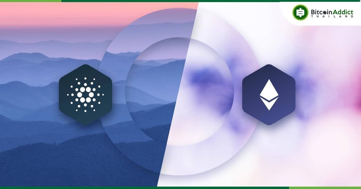 กิจกรรมของนักพัฒนา Ethereum และ Cardano แตะระดับสูงสุดในปี 2022 : DappRadar รายงาน