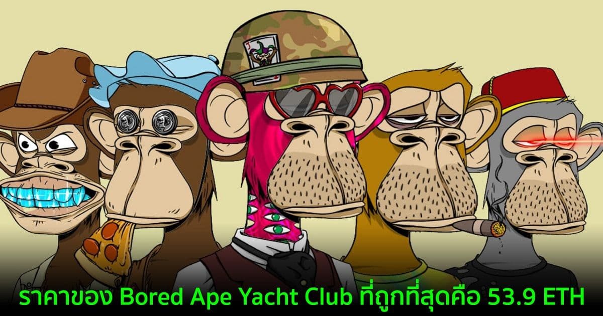ราคาขั้นต่ำของ Bored Ape Yacht Club แซงหน้า CryptoPunks ไปแล้วเรียบร้อย