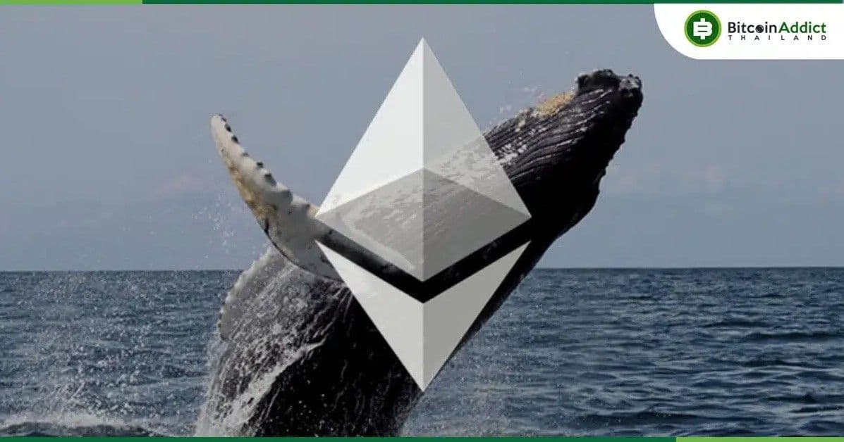 ตลาดผวา! วาฬ ICO Ethereum ตื่นจากหลับใหล เทขายกว่า 19,000 ETH (1,568 ล้านบาท) ใน 2 วัน