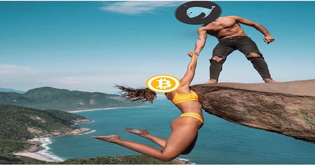 ผลโหวตชี้!! ชาว Crypto ส่วนใหญ่ยังเชื่อว่า Bitcoin จะร่วงต่ำกว่าระดับ $3,700