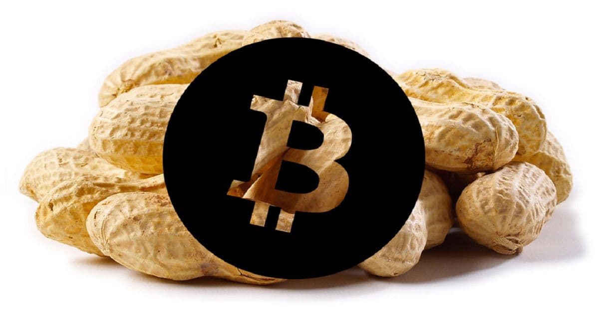 ชายที่เคยขาย 57 Bitcoin (17ล้านบาท!!) แลกกับ "ถั่วลิสง" ในปี 2012 เจอเงินที่ยังเหลืออยู่บ้างในกระเป๋าเงินใบนั้น
