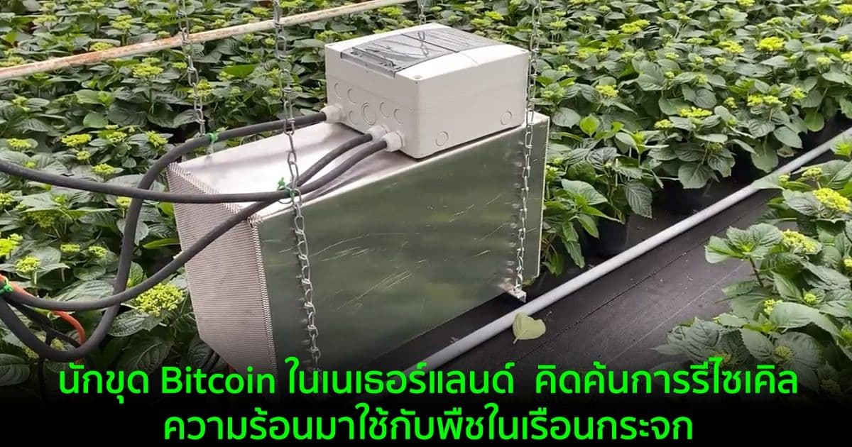 นักขุด Bitcoin ในเนเธอร์แลนด์  คิดค้นการรีไซเคิลความร้อนมาใช้กับพืชในเรือนกระจก
