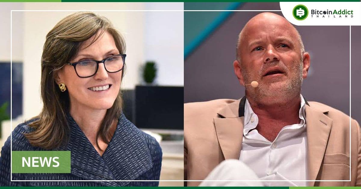 Wood ของ ARK และ Novogratz ของ Galaxy พูดถึง Twitter และ Bitcoin ETF ในบาฮามาส