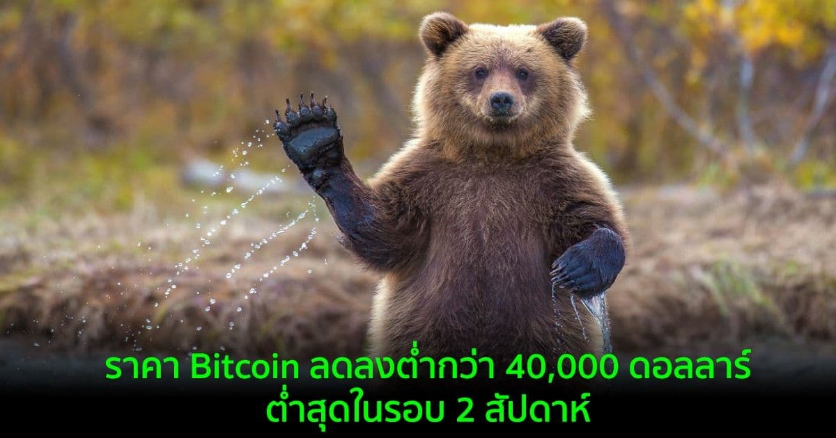 ราคา Bitcoin ลดลงสู่ระดับต่ำกว่า 40,000 ดอลลาร์ ต่ำสุดในรอบ 2 สัปดาห์