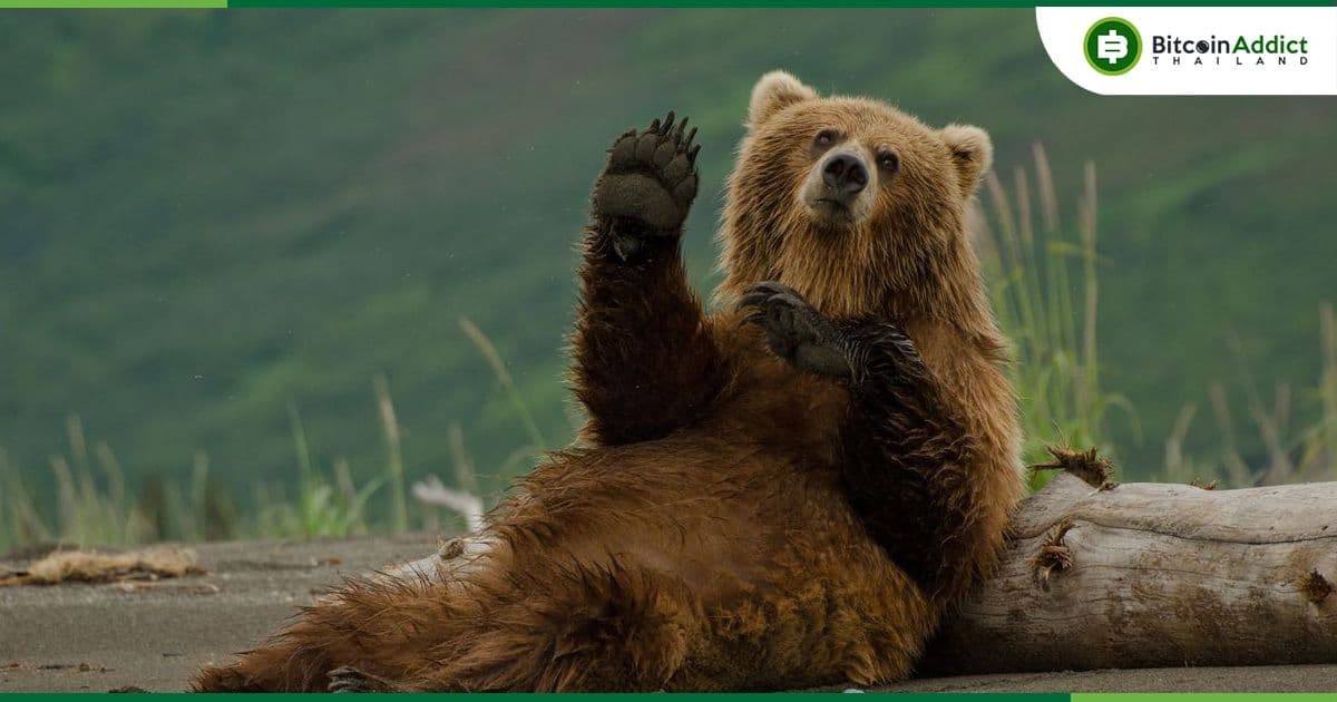 5 เหตุการณ์ ที่อาจช่วยให้หลุดพ้นจาก "ตลาดหมี Crypto" ในปัจจุบันได้