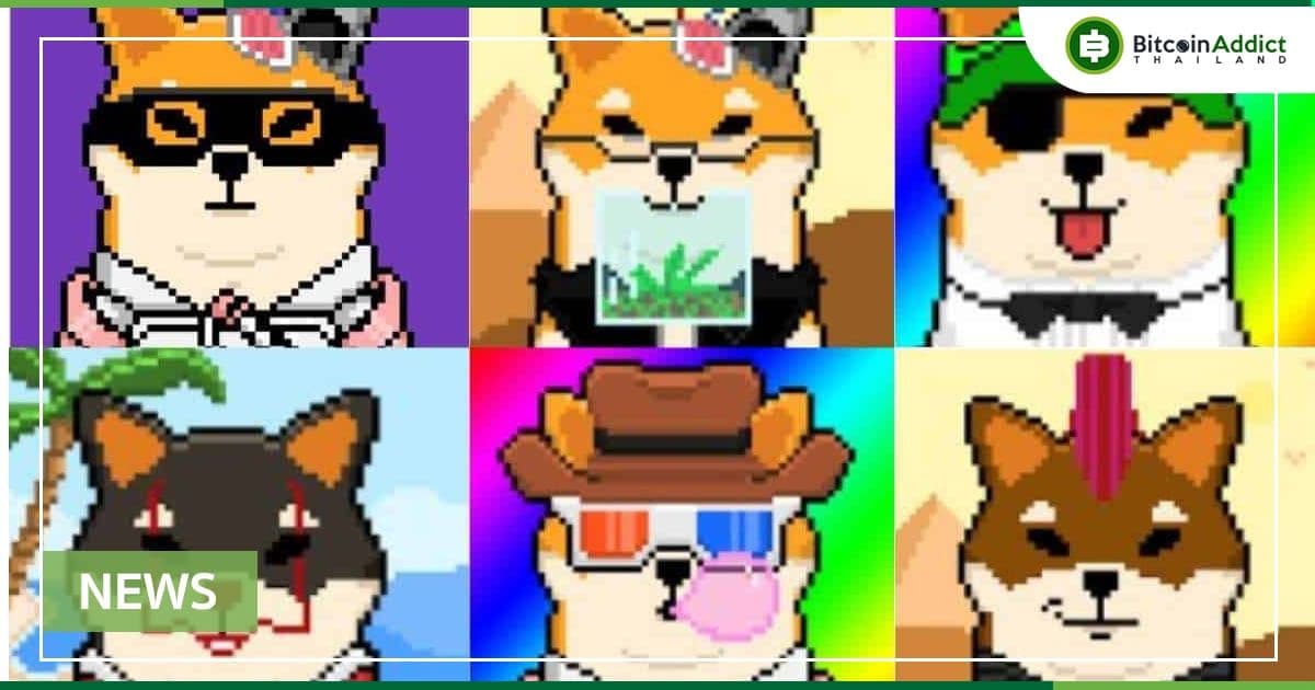 Shiba Inu NFT (Shiboshis) ลดลง 70% ตั้งแต่ ทำสถิติสูงสุดตลอดกาล