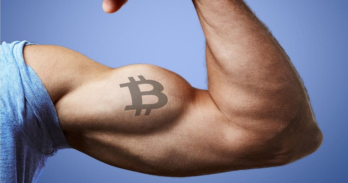 นักวิเคราะห์ On-chain กล่าวว่า  Bitcoin hodler กำลังแข็งแกร่งขึ้น