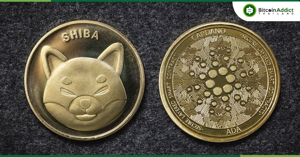 CEO Nansen เผย!! ราคา Cardano (ADA) ปีนี้ร่วงรุนแรงและอาการหนักยิ่งกว่า "โทเค็นมีม" อย่าง Shiba Inu