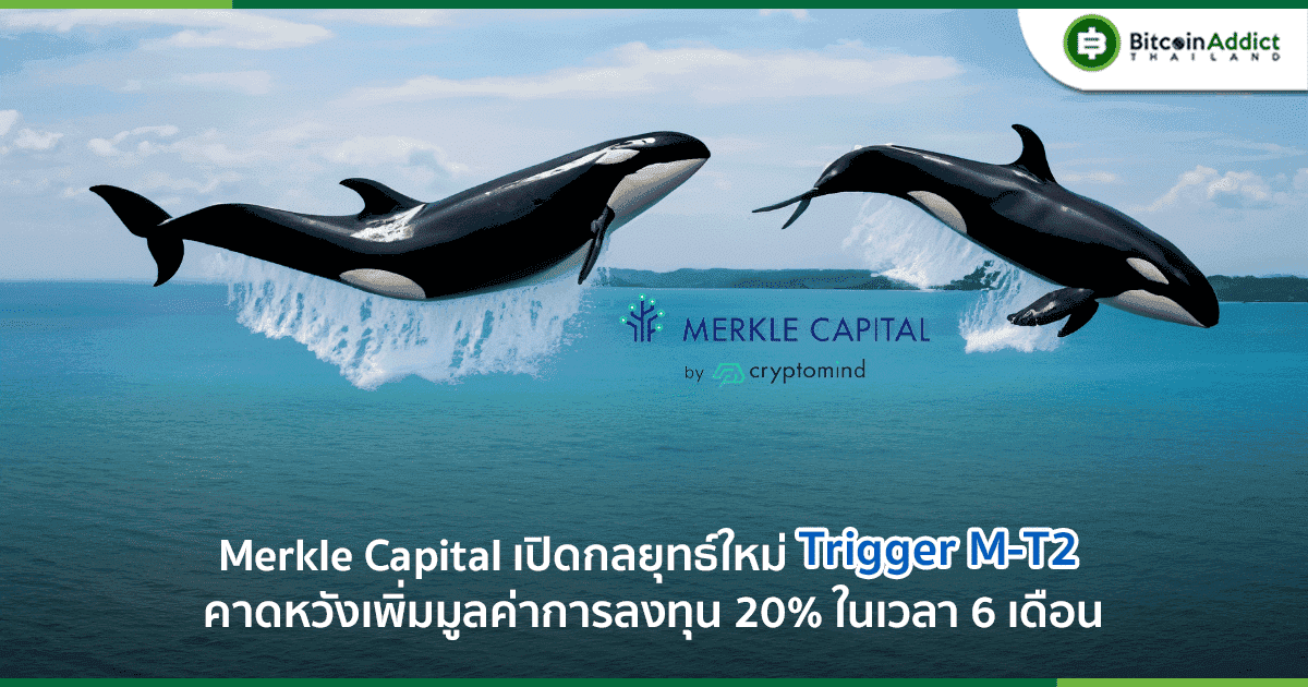 Merkle Capital เปิดกลยุทธ์ M Trigger 2 ตั้งเป้าเพิ่มมูลค่า 20% ใน 6 เดือน