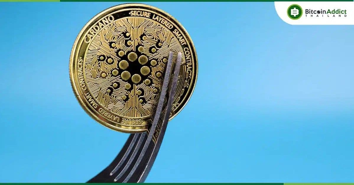 Cardano เตรียมเปิดตัว ‘Chang Hard Fork’ การอัปเกรดครั้งใหญ่รอบ 2 ปี วันที่ 1 กันยายนนี้