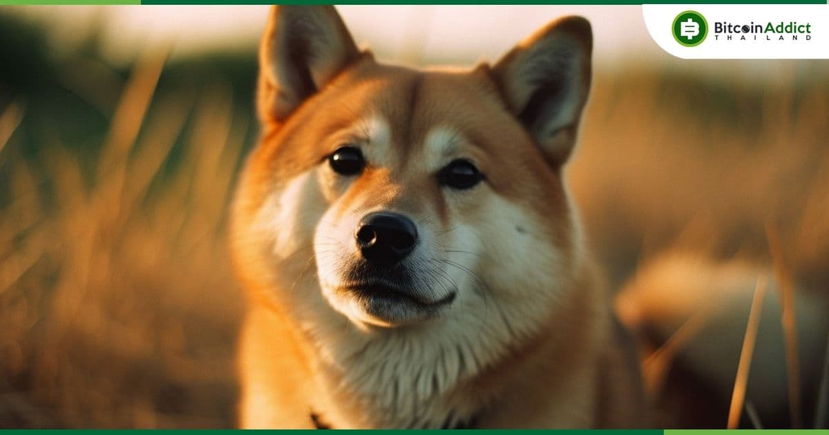 Billy Markus ผู้ก่อตั้งเหรียญมีม DOGE เปิดเผยจำนวน Dogecoin ล่าสุดที่เขาเป็นเจ้าของ
