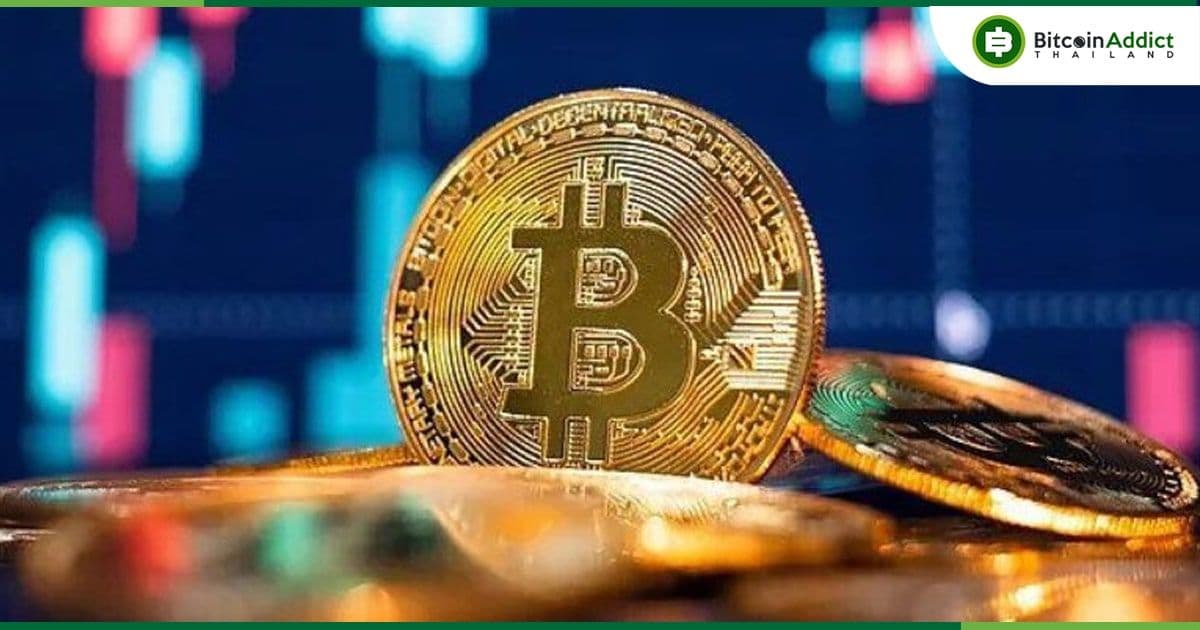Bitcoin บนเว็บเทรด แตะระดับต่ำสุดในรอบหลายปี ตามรายงานจาก CryptoQuant