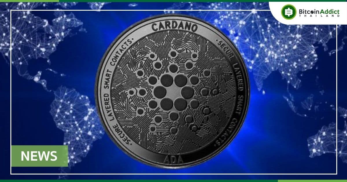ผู้ใช้งานบนเครือข่าย Cardano ลดลงกว่าครึ่งนึงจากช่วงต้นเดือนมีนาคม
