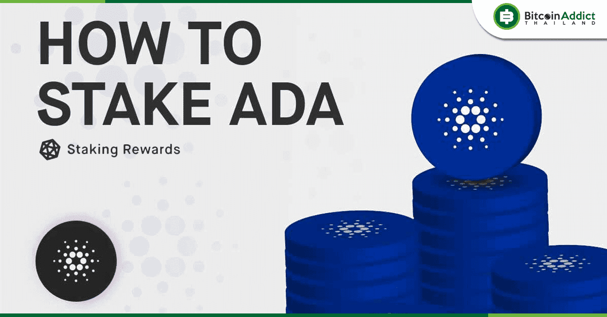 ทำความรู้จักวิธี Stake ADA  และรับผลตอบแทนที่มั่นคง