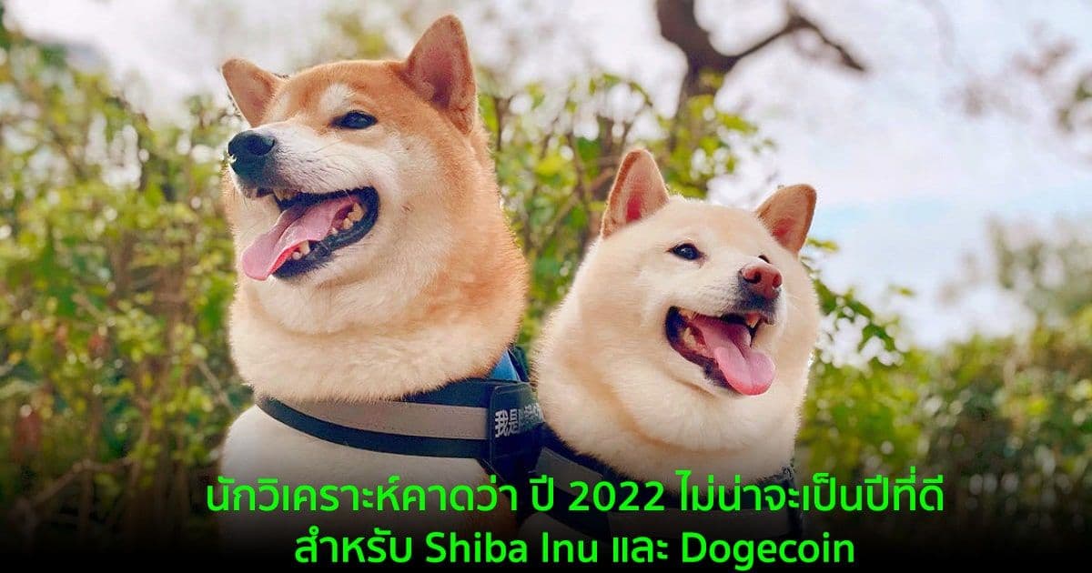 นักวิเคราะห์คาดว่า ปี 2022 ไม่น่าจะเป็นปีที่ดีสำหรับ Shiba Inu และ Dogecoin