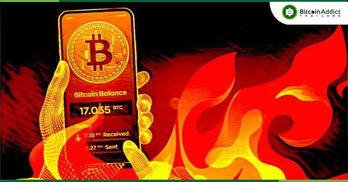 นักลงทุน 8 ใน 10 คนเก็บ Crypto ไว้ใน hot wallets : ตามการสำรวจของ CoinGecko