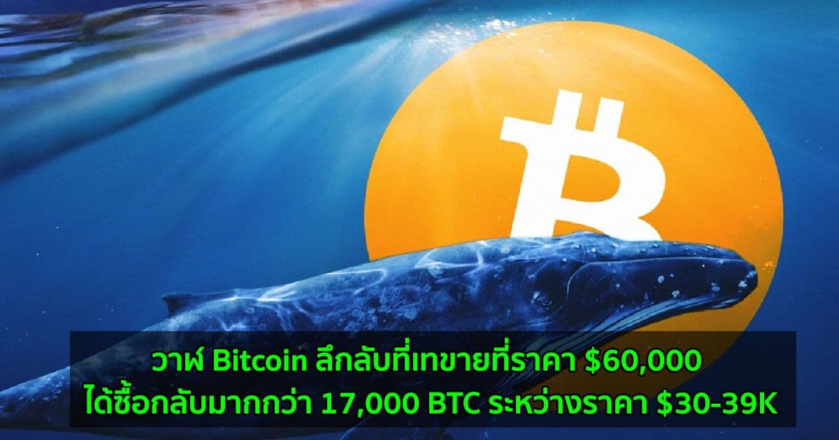 วาฬ Bitcoin ลึกลับที่เทขายที่ราคา $60,000 ได้ซื้อกลับมากกว่า 17,000 BTC ระหว่างราคา $30-39K