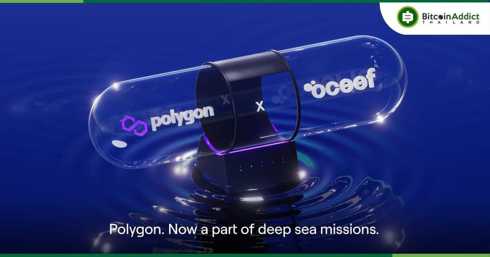 Polygon ร่วมมือกับ NGO เพื่อพัฒนาความรู้เรื่องมหาสมุทรผ่าน Metaverse