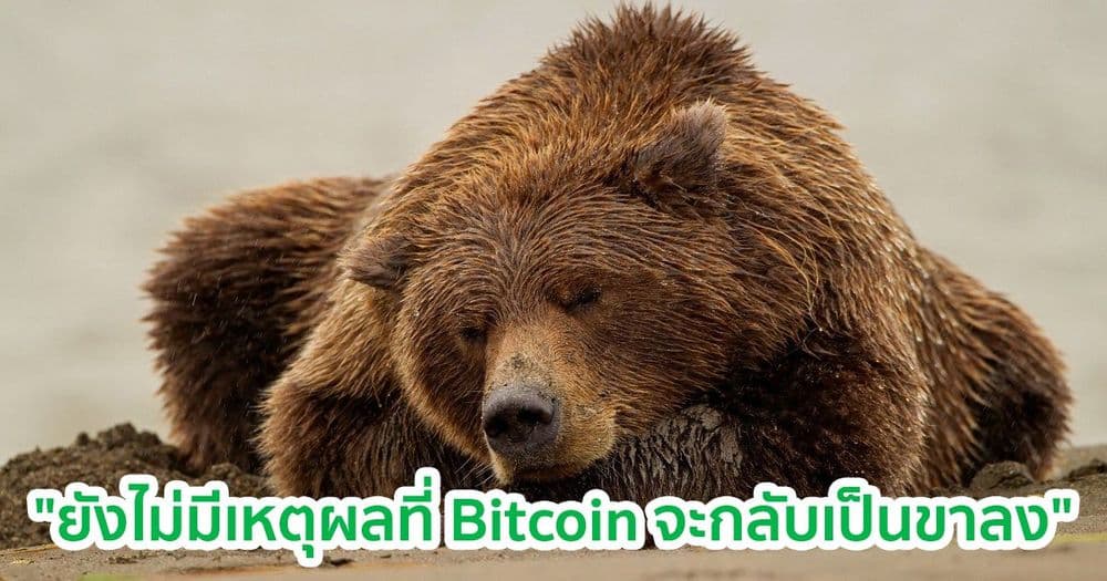 นักเทรดมองว่า "ยังไม่มีเหตุผลมากมายพอที่จะทำให้ Bitcoin กลับเป็นขาลง"