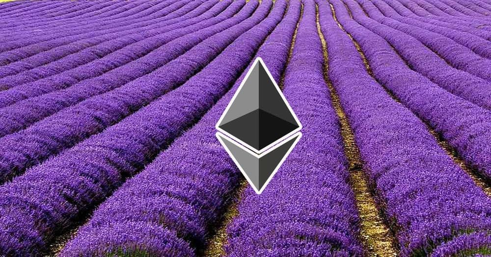 ทุ่งลาเวนเดอร์กำลังจะกลับมา? การขุด Ethereum ด้วย RTX 2070 มีกำไรถึง 9$ แล้วในปัจจุบัน