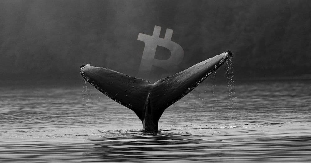 ใครบางคนเพิ่งโอน Bitcoin มูลค่า 12,000 ล้านบาท ด้วยค่าธรรมเนียมเพียง 20 บาทเท่านั้น!!