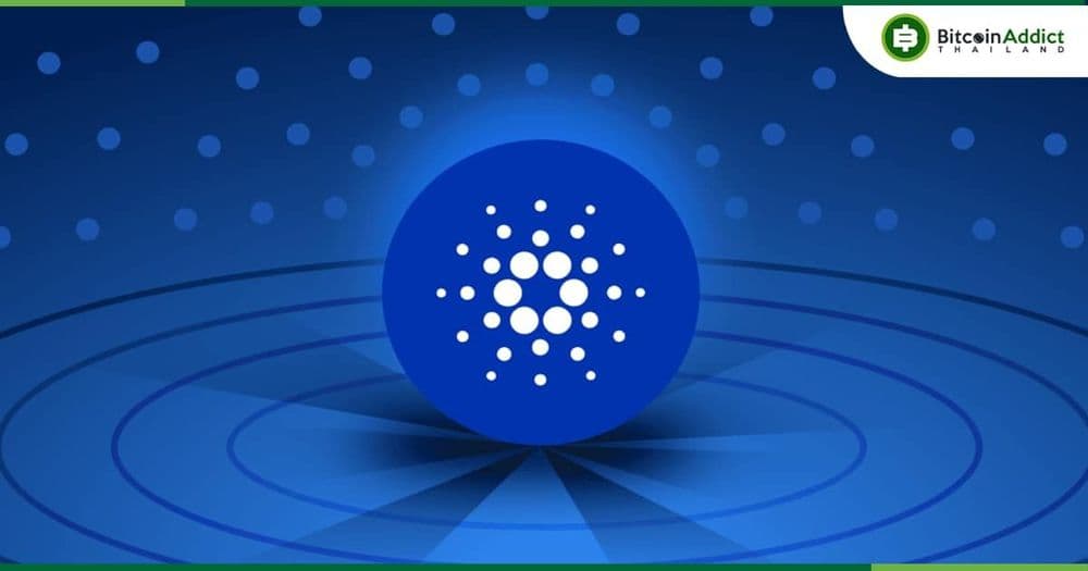 เครือข่าย Cardano เปลี่ยนไปอย่างไรบ้าง นับตั้งแต่ Vasil Hard Fork