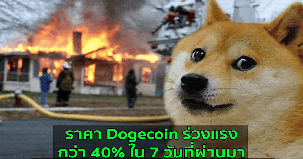 ราคา Dogecoin ร่วงแรงกว่า 40% ใน 7 วันที่ผ่านมา  ติดลบหนักที่สุดในบรรดาเหรียญ 10 อันดับแรก