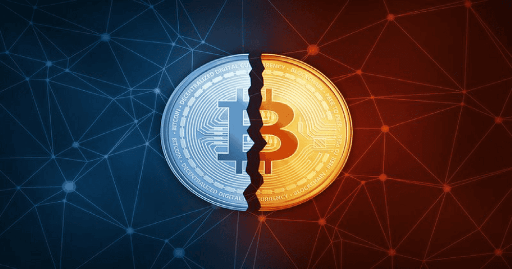 "อย่าคาดหวังว่าราคา Bitcoin จะกลับมาหลังจาก halving" Willy Woo นักวิเคราะห์ Crypto เตือน