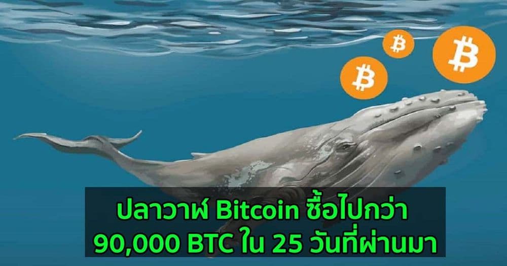 ปลาวาฬ Bitcoin ซื้อไปกว่า 90,000 BTC ใน 25 วันที่ผ่านมา