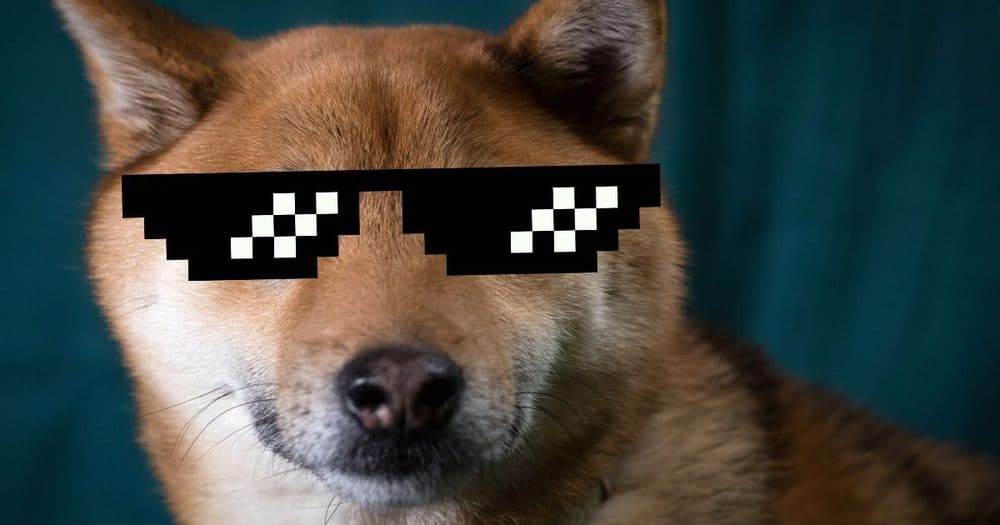 เบื้องหลังความบ้าคลั่งของ "Dogecoin Challenge" จาก TikTok ส่งให้โวลลุ่มเทรดเพิ่มวันเดียว 600%